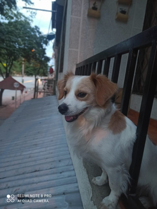 Luky