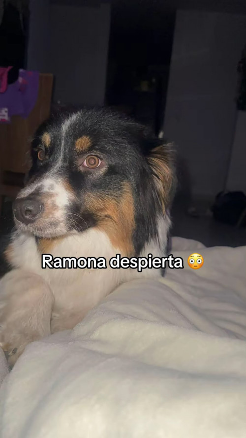 Ramona