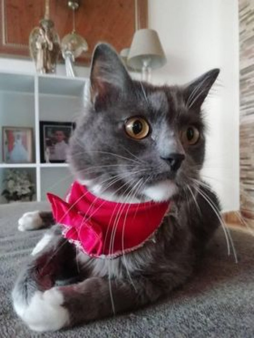 Merlín