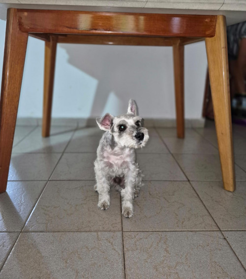 Tobby