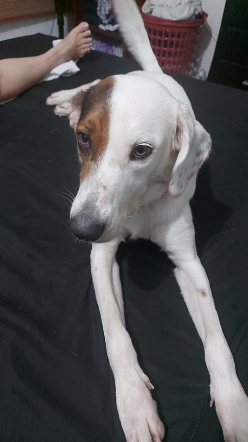 Kira