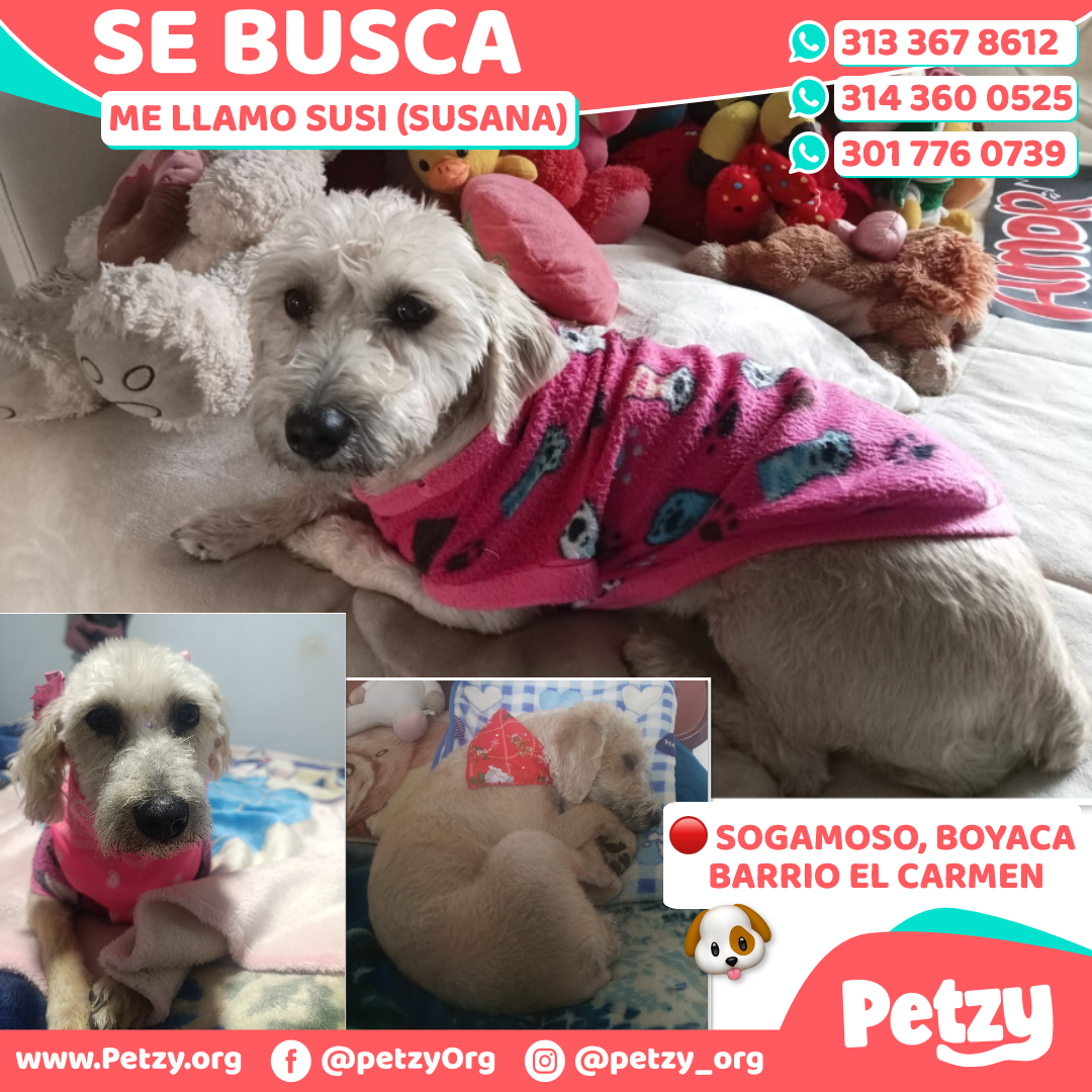 Susi (susana)