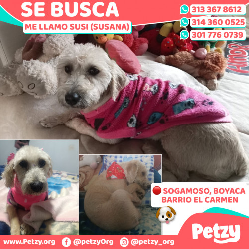 Susi (susana)
