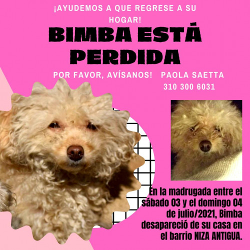 Bimba