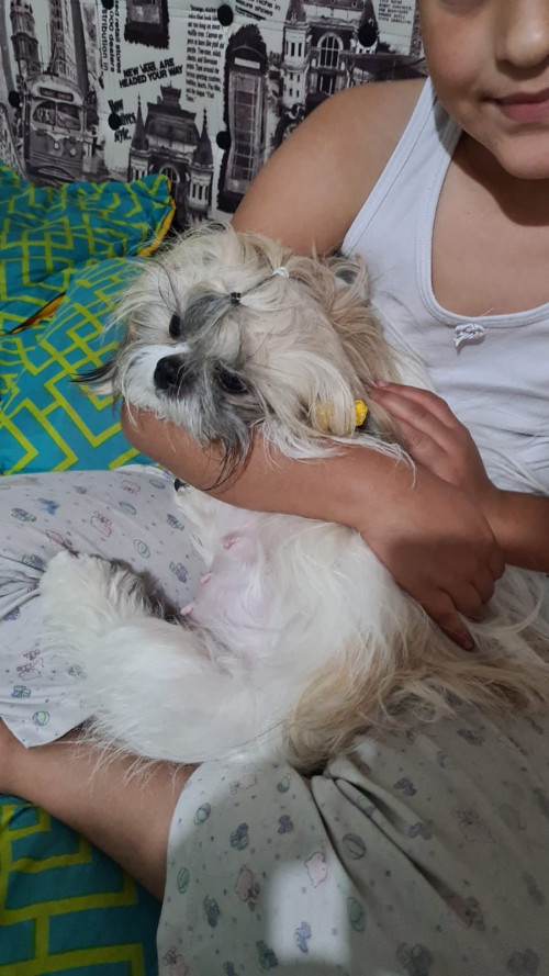 Dulce