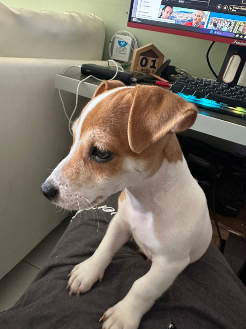 Chester