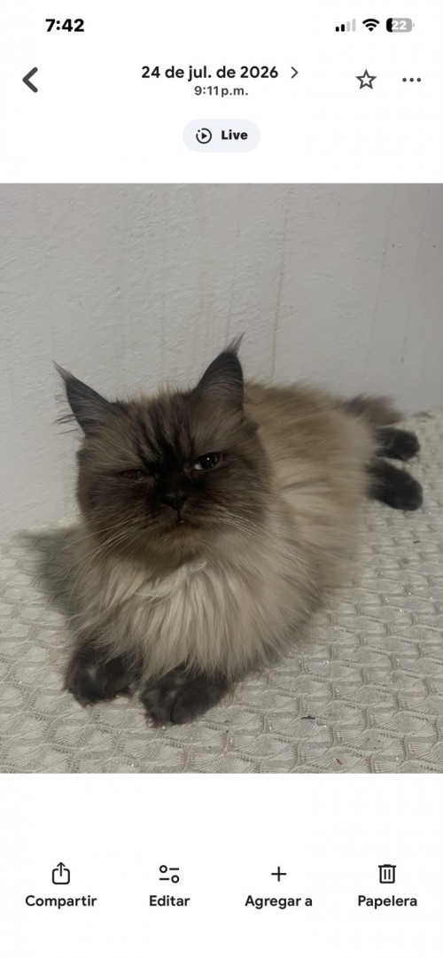 Nina