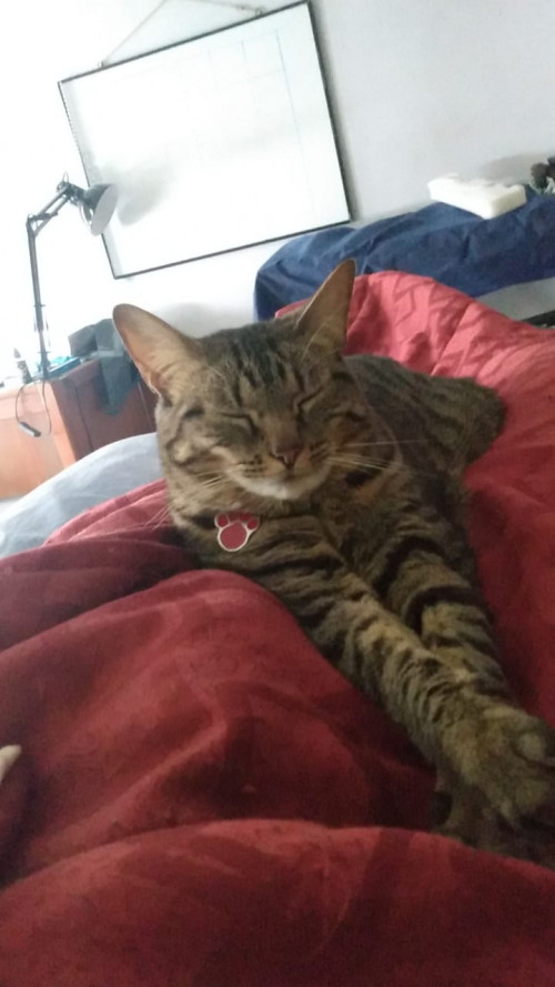 Kira