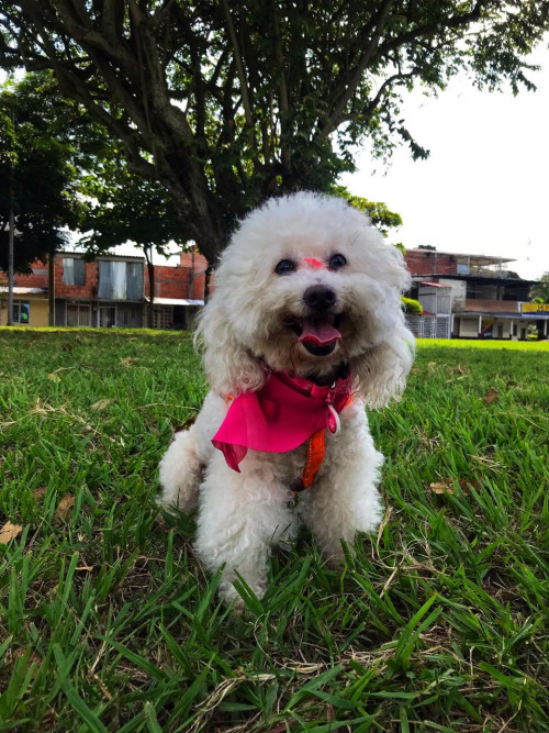 Abby