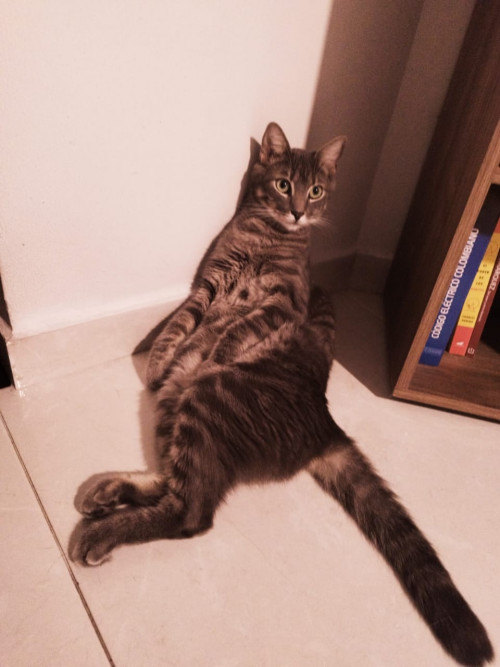 Ragnar