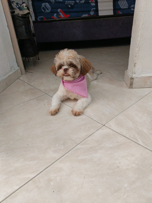 Milo