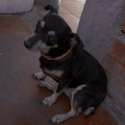Princesa