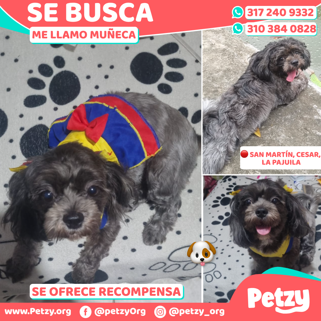Muñeca