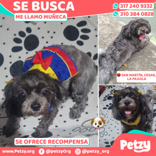 Muñeca