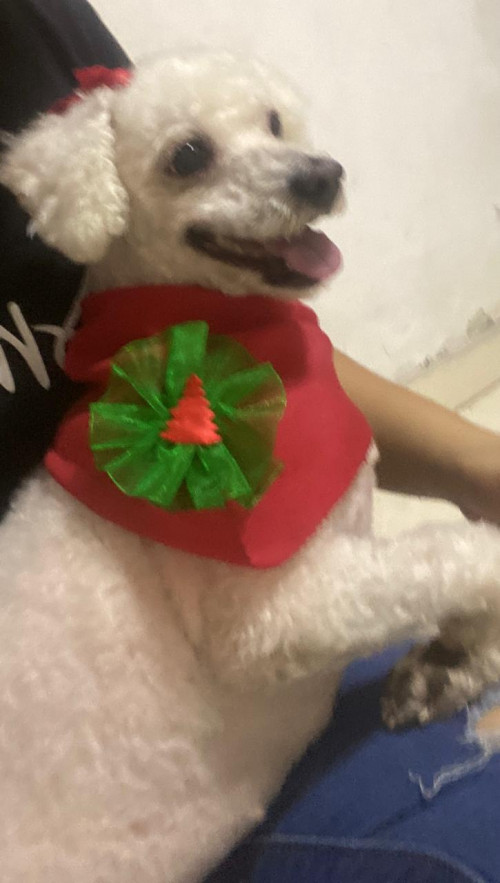 Susy