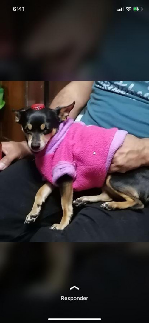 Niña