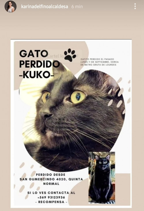 Kuko
