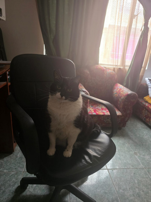 Max