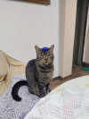 Foto de Monty en Tunja Boyacá #4