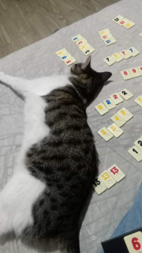 Parker