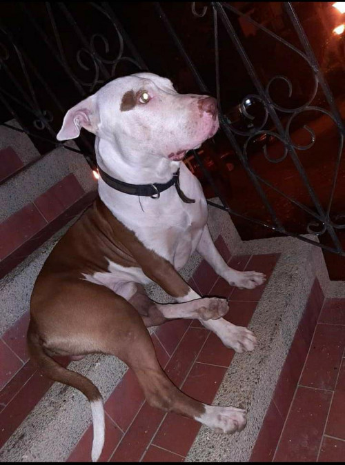 Aivar