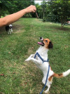 Foto de Tokio en Cali Valle del Cauca #11