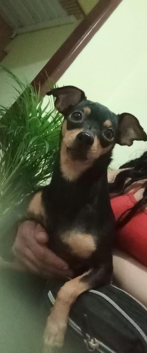 Max Y Princesa