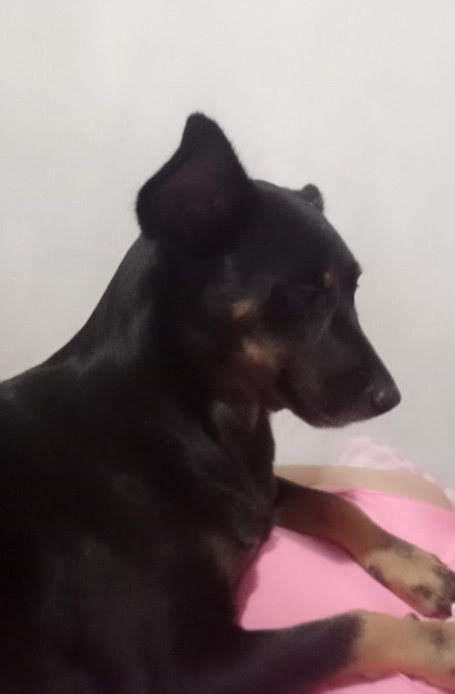 Marquesa