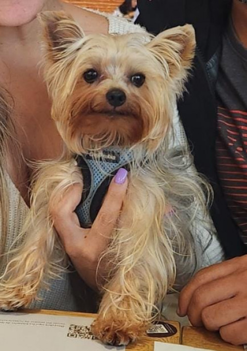 Milo