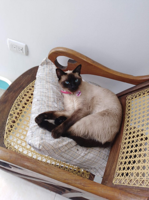 Lalita