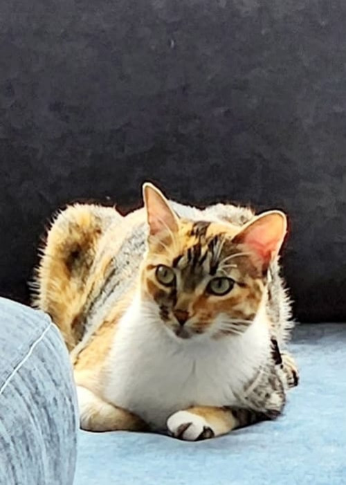 Luna