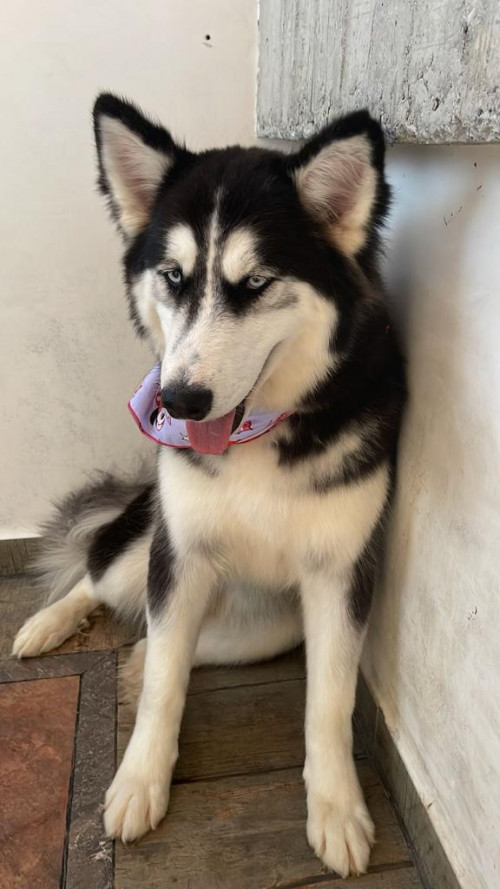 Luna