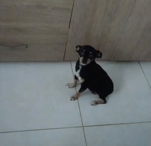 Zimba