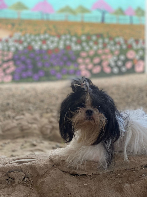 Abby