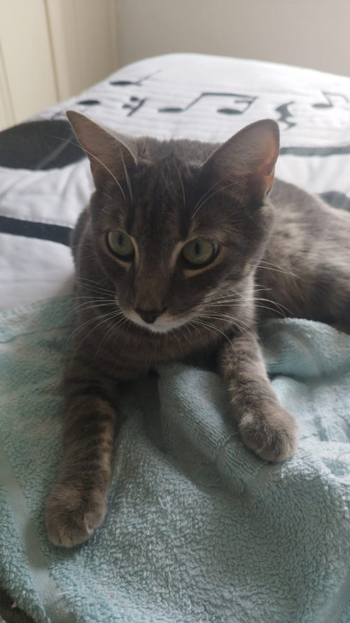Ragnar
