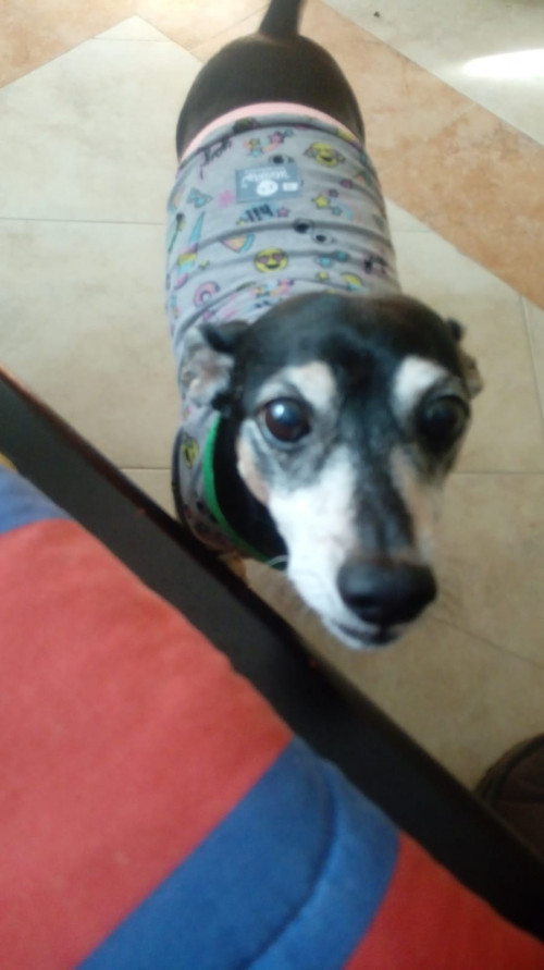 Paco