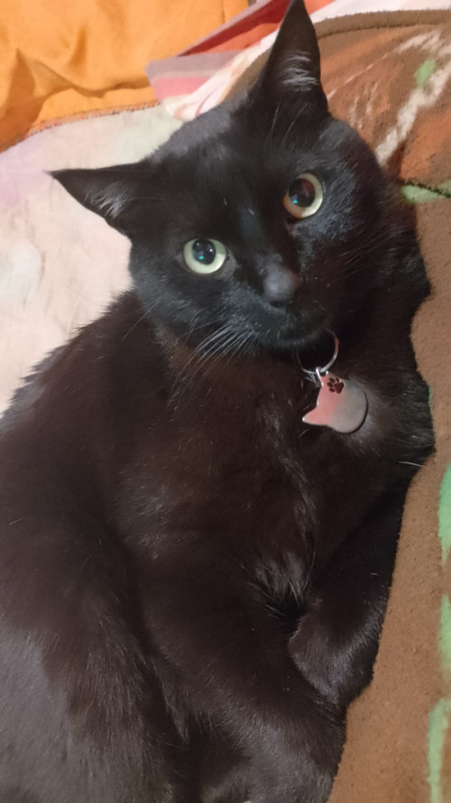 Ted