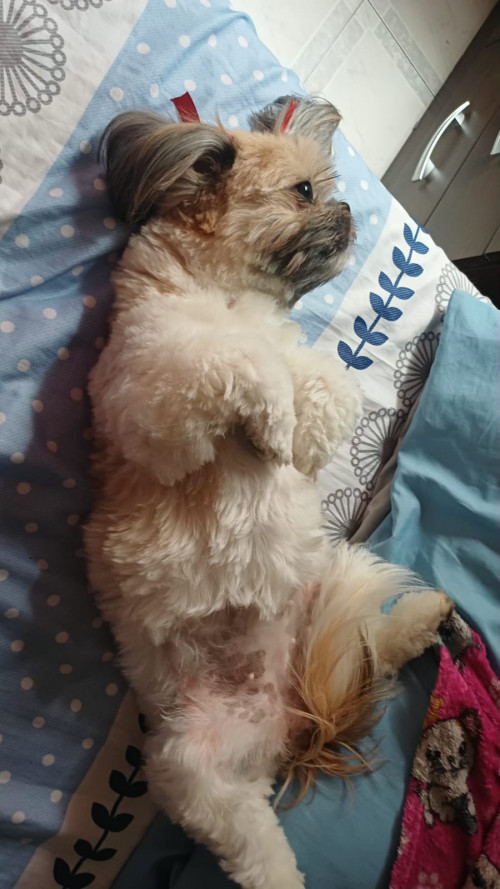 Mia