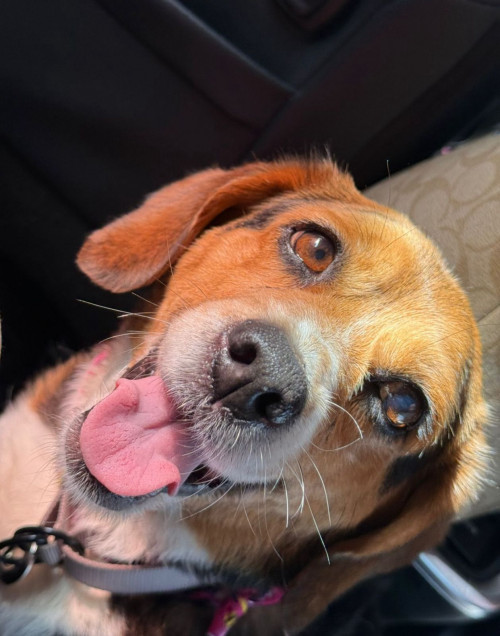 Maggie