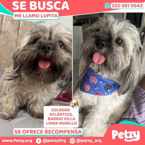 Lupita