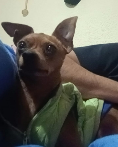 Kaiser