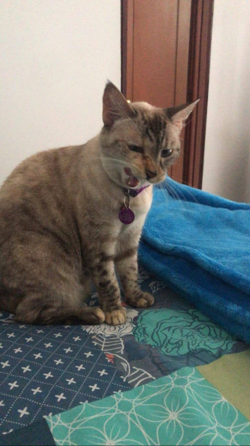Niña