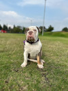 Foto de Wanda en  Bogotá #3
