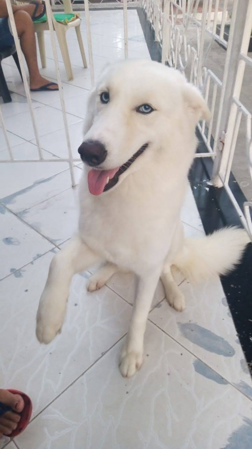 Cloe
