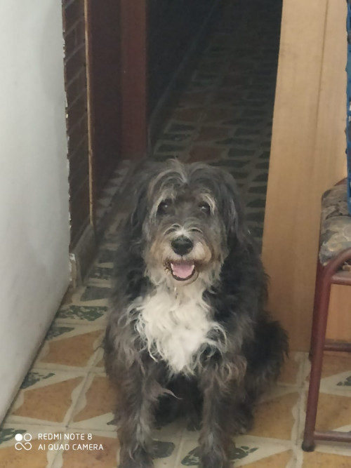 Luna