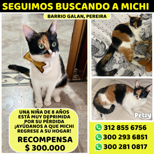 Banner de Michi
