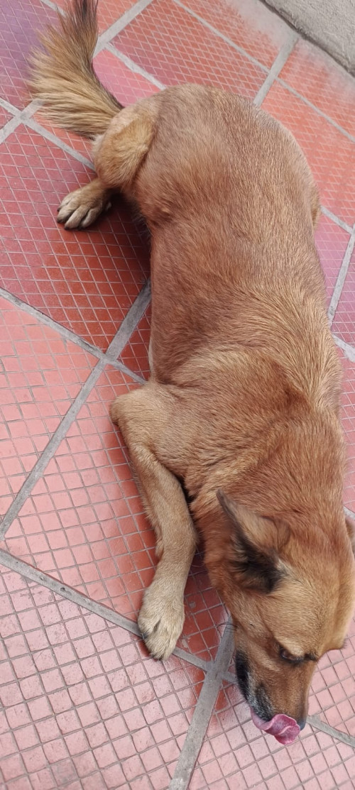 Flaca