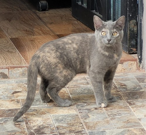 Luna