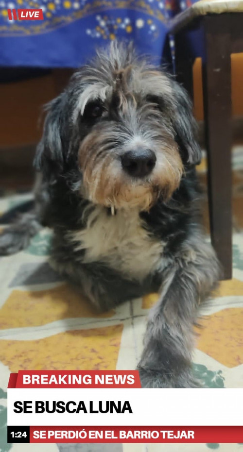 Luna