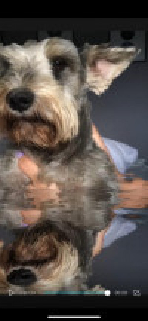 Peter